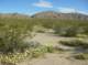imgp0522_small.jpg