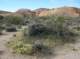 imgp0525_small.jpg