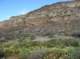 imgp0536_small.jpg