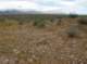 imgp0545_small.jpg