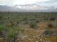 imgp0546_small.jpg