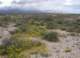 imgp0554_small.jpg