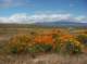 imgp0569_small.jpg
