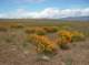 imgp0571_small.jpg