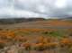 imgp0575_small.jpg