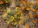 imgp0578_small.jpg