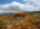 imgp0581_small.jpg