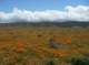 imgp0584_small.jpg
