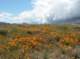 imgp0586_small.jpg