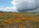 imgp0590_small.jpg