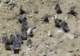imgp6715_small.jpg