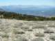 imgp6730_small.jpg