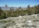 imgp6732_small.jpg
