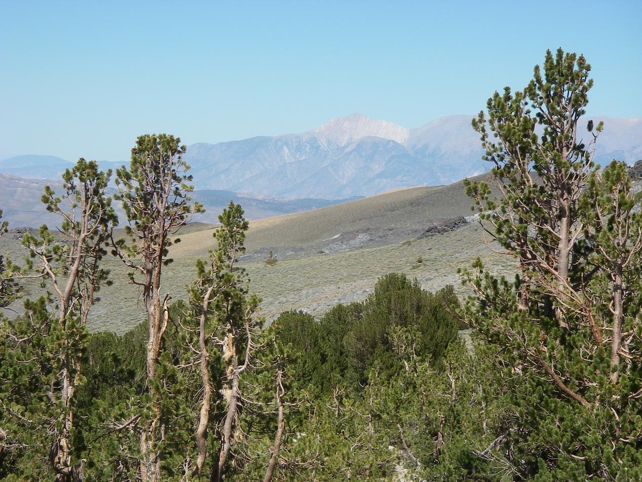 imgp6733.jpg