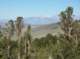 imgp6733_small.jpg