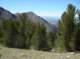 imgp6738_small.jpg