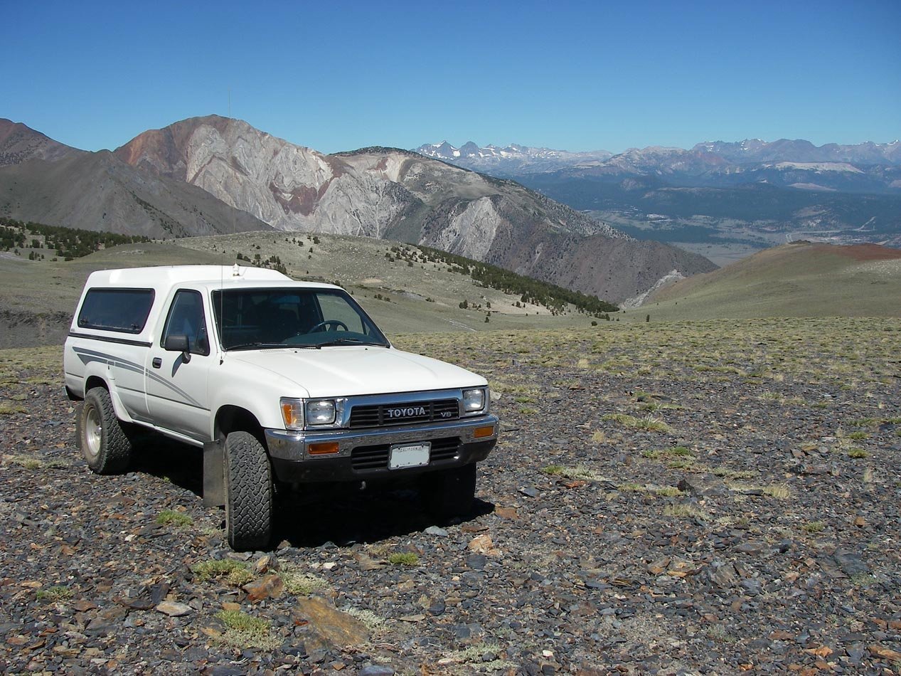 Li'l Miracle atop Mt. McGee in the High Sierra 6/27/2012