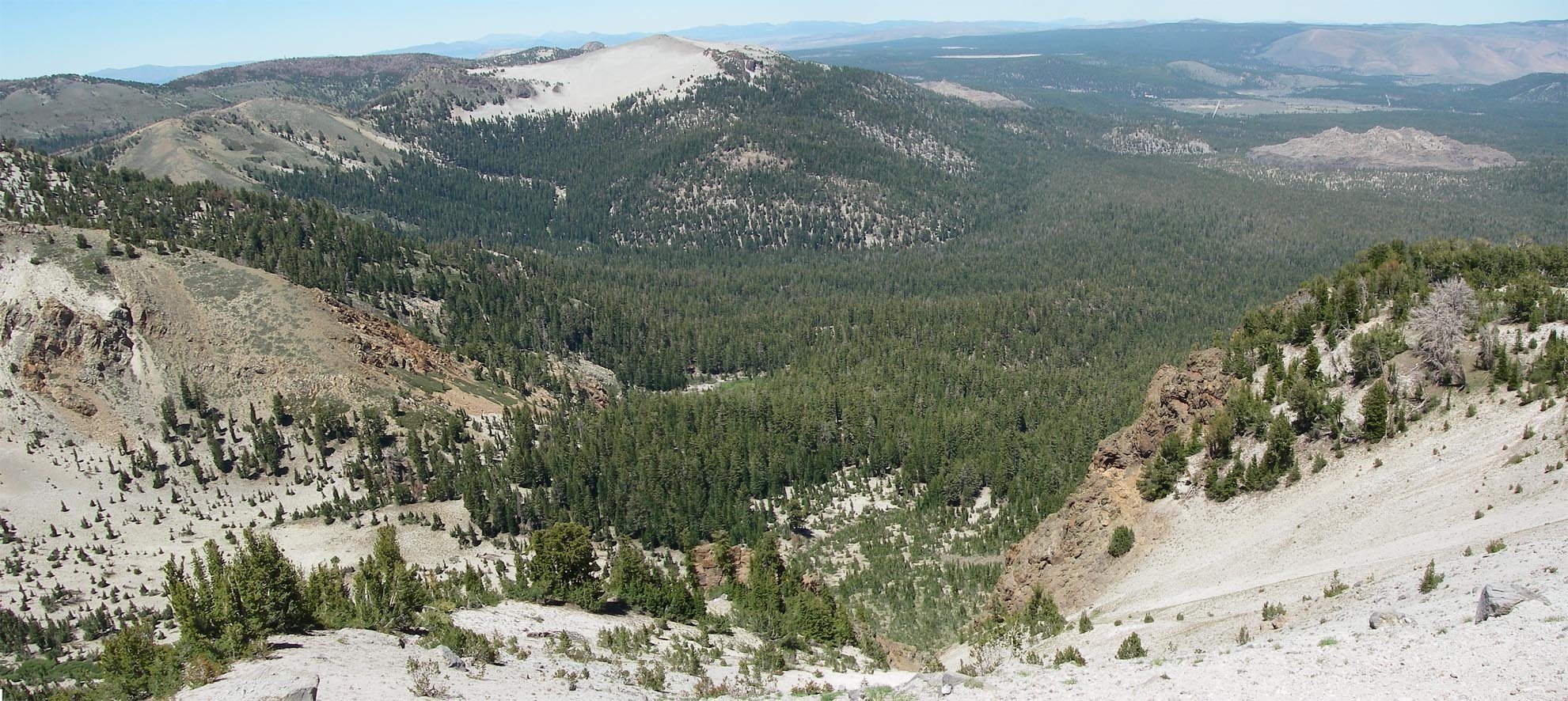 imgp6778m.jpg