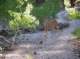 imgp6787_small.jpg