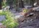 imgp6790_small.jpg