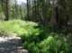 imgp6795_small.jpg