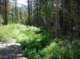 imgp6796_small.jpg