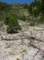 imgp6800_small.jpg