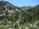 imgp6805_small.jpg