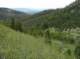 imgp6840_small.jpg