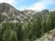 Ridge at the top of Deadman Creek, Owens River Headwaters Wilderness 7/5/2012