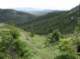 imgp6843_small.jpg