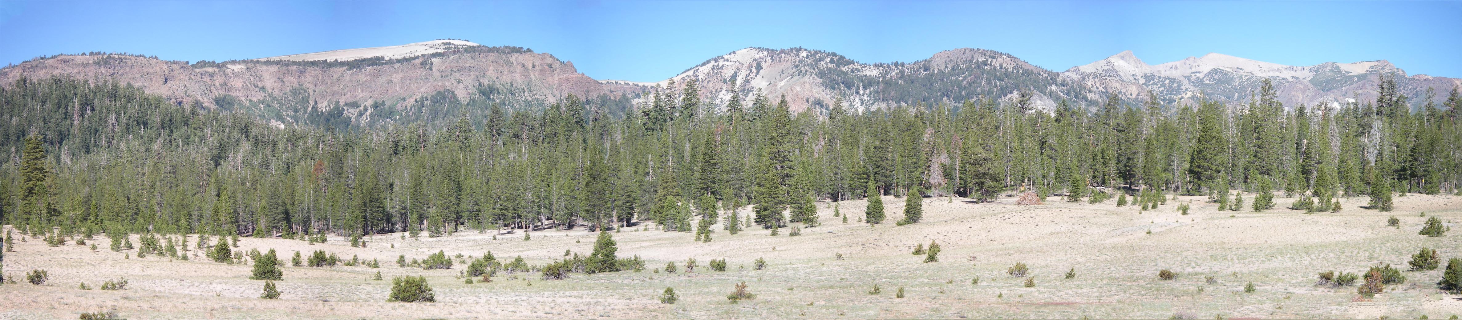 imgp6852m.jpg