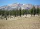 imgp6853_small.jpg