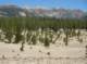 imgp6854_small.jpg