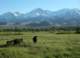imgp0725_small.jpg