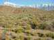 imgp0731_small.jpg