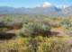 imgp0739_small.jpg