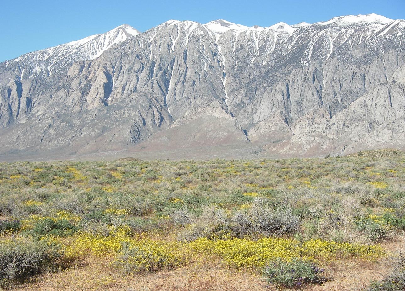 imgp0742.jpg