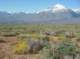 imgp0744_small.jpg