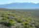 imgp0755_small.jpg