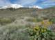 imgp0771_small.jpg