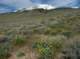imgp0774_small.jpg