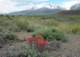 imgp0791_small.jpg