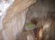 imgp0799_small.jpg
