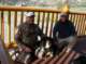 imgp0801_small.jpg