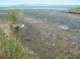 imgp0831_small.jpg