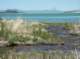 imgp0832_small.jpg
