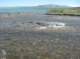 imgp0834_small.jpg