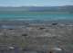 imgp0837_small.jpg