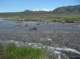imgp0841_small.jpg